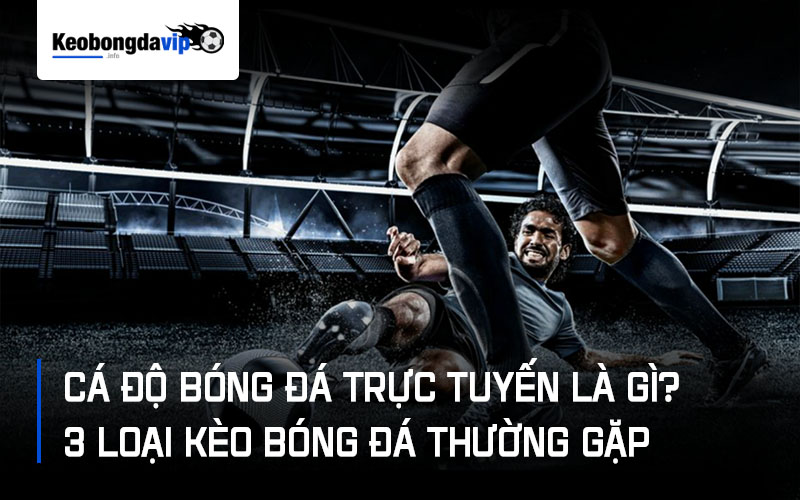 Cá Độ Bóng Đá Trực Tuyến Là Gì? 3 Loại Kèo Bóng Đá Thường Gặp Nhất