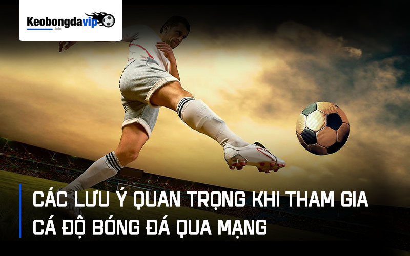 Các lưu ý quan trọng khi tham gia cá độ bóng đá qua mạng