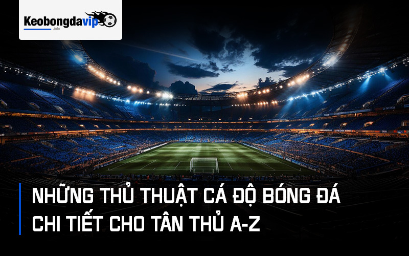 Những Thủ Thuật Cá Độ Bóng Đá Chi Tiết Cho Tân Thủ A-Z