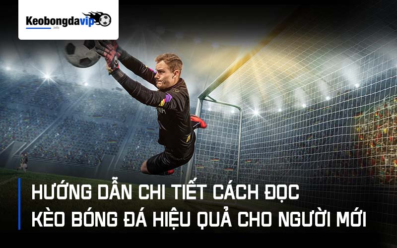 Hướng Dẫn Chi Tiết Cách Đọc Kèo Bóng Đá Hiệu Quả Cho Người Mới