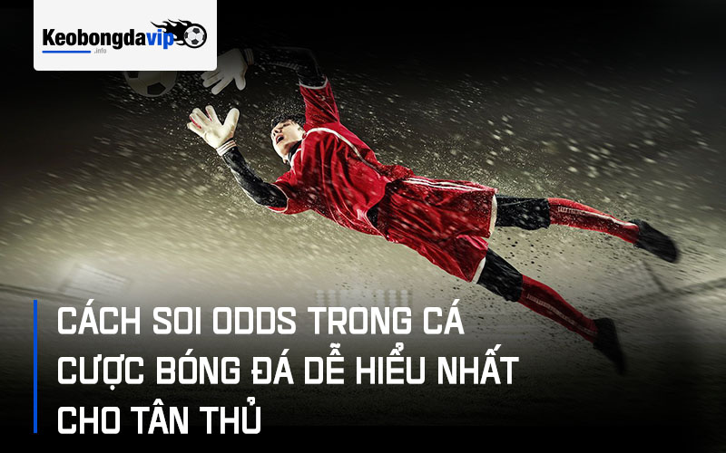 Cách Soi Odds Trong Cá Cược Bóng Đá Dễ Hiểu Nhất Cho Tân Thủ