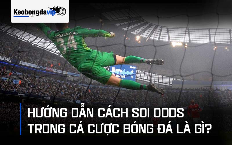 Hướng dẫn cách soi odds trong cá cược bóng đá