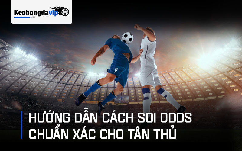 Hướng dẫn cách soi odds chuẩn xác cho tân thủ