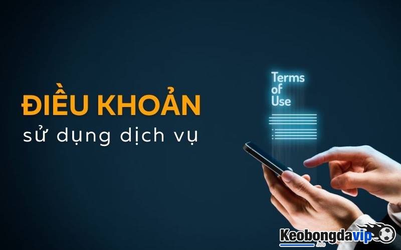 Quyền và trách nhiệm của người sử dụng website Keobongdavip.info