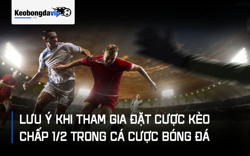 Lưu ý khi tham gia đặt cược kèo chấp 1/2 trong cá cược bóng đá