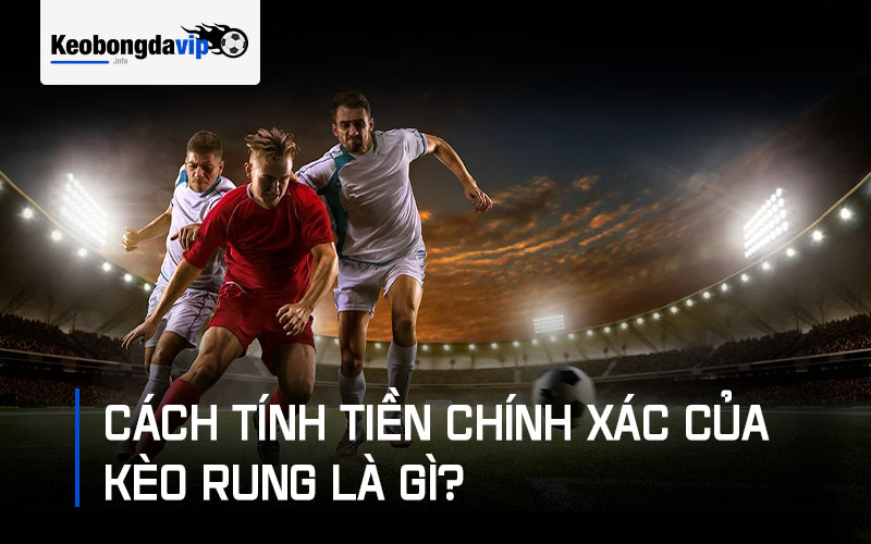 Cách tính tiền trong kèo rung