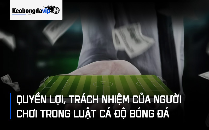 Quyền lợi, trách nhiệm của người chơi trong luật cá độ bóng đá