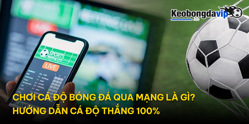 Chơi Cá Độ Bóng Đá Qua Mạng Là Gì? Hướng Dẫn Cá Độ Thắng 100%